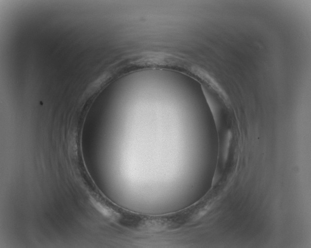 X0000083030489200702091347