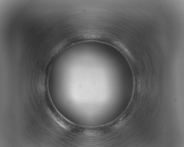 X0000083030490200702091347