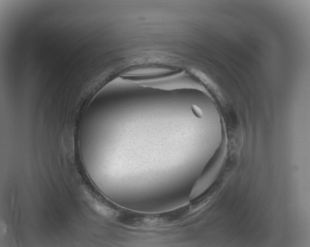 X0000083030493200702091347