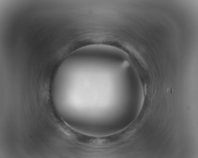 X0000083030497200702091346