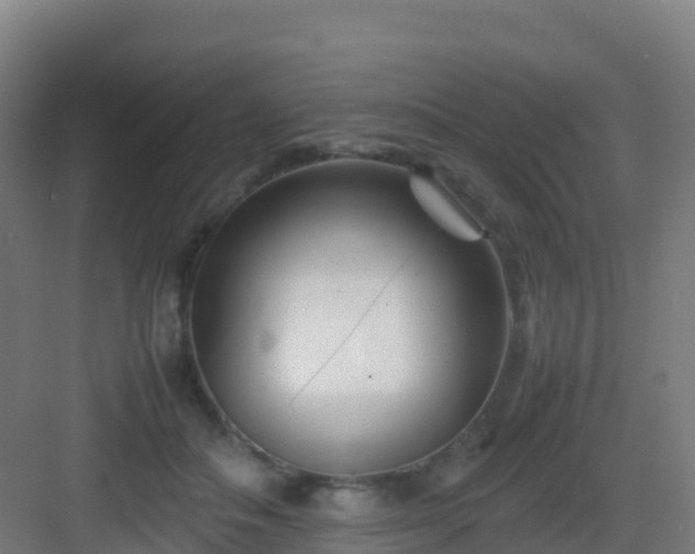 X0000083030506200702091346
