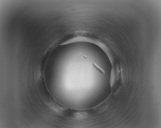 X0000083030508200702091346