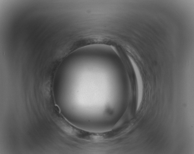 X0000083030509200702091346