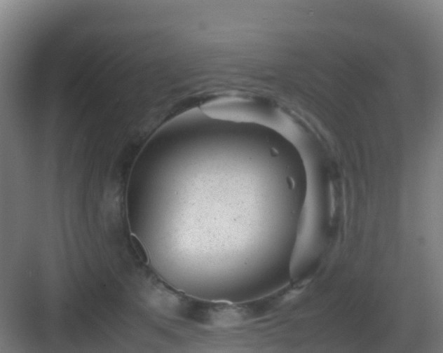 X0000083030513200702091346