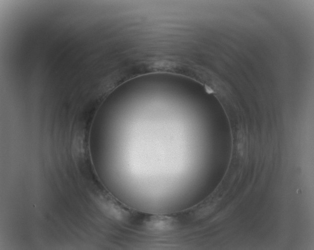 X0000083030514200702091346