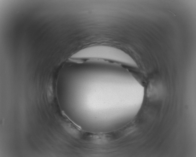 X0000083030524200702091346