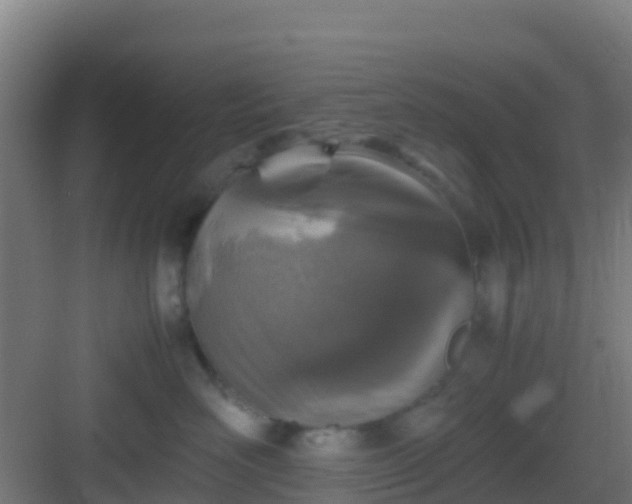 X0000083030526200702091346