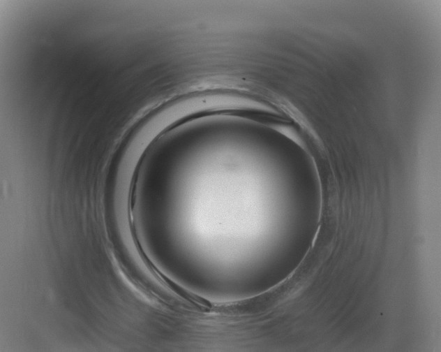 X0000083030530200702091345
