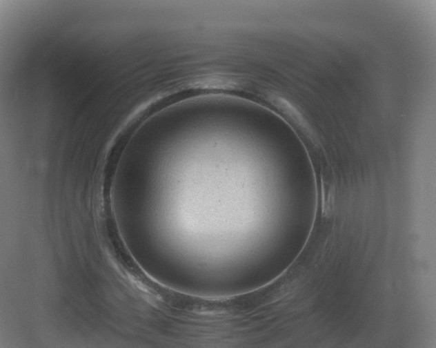 X0000083030531200702091345