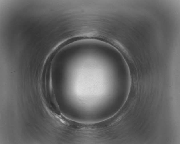 X0000083030532200702091345