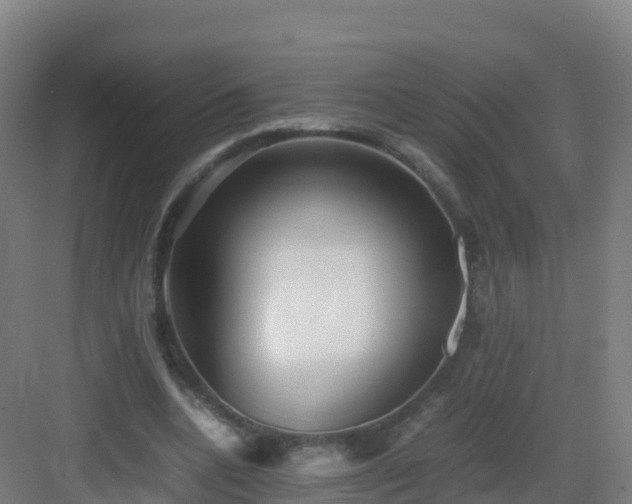 X0000083030536200702091345