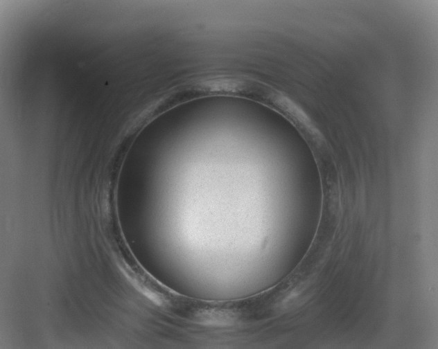 X0000083030537200702091345