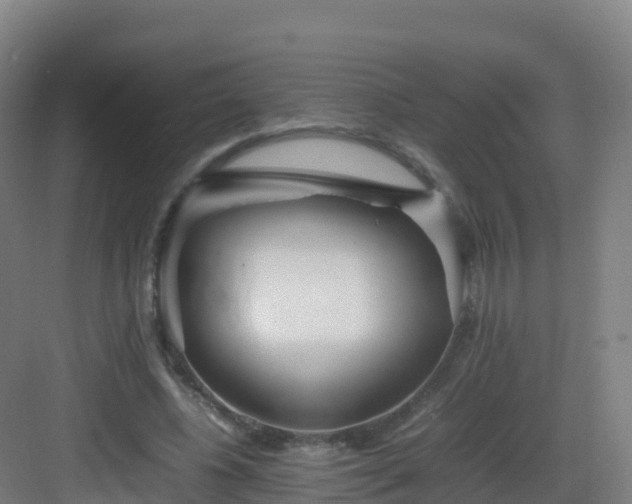 X0000083030540200702091345
