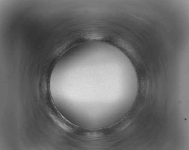 X0000083030541200702091345