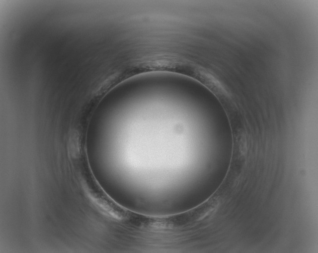 X0000083030546200702091345