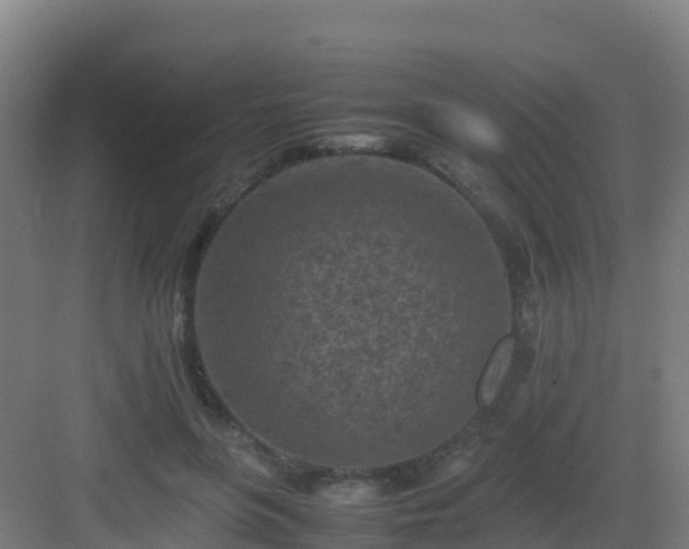 X0000083030551200702091345
