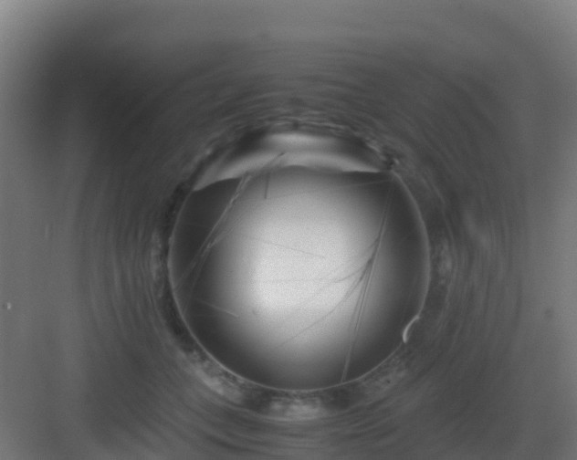 X0000083030559200702091346