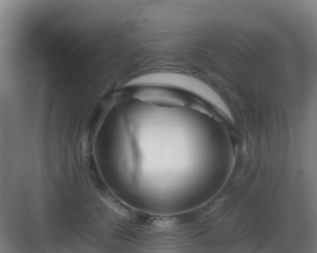 X0000083030560200702091346