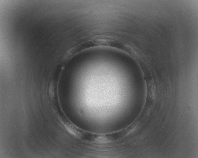 X0000083030562200702091346