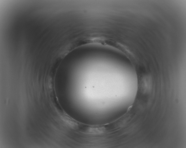 X0000083030571200702091346