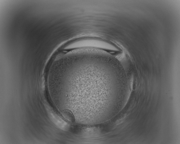 X0000083030584200702091345