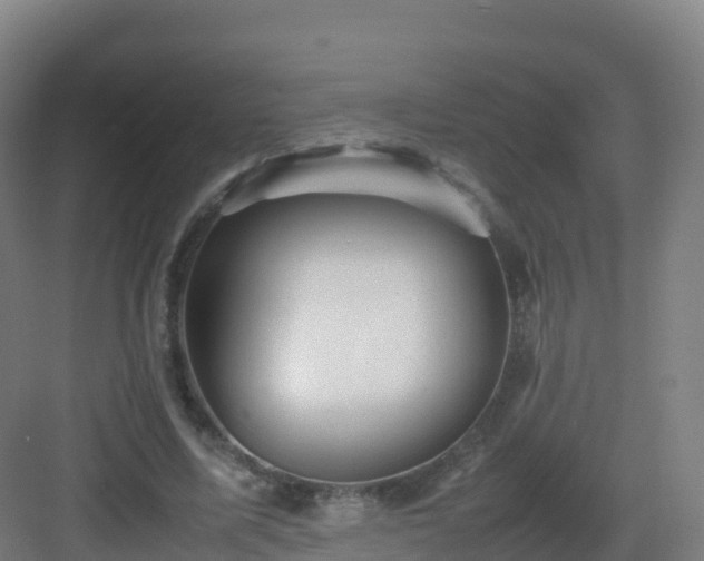 X0000083030587200702091345