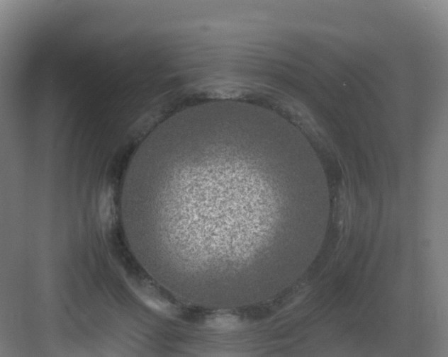 X0000083030598200702091345