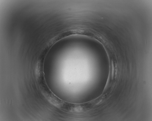 X0000083030600200702091345