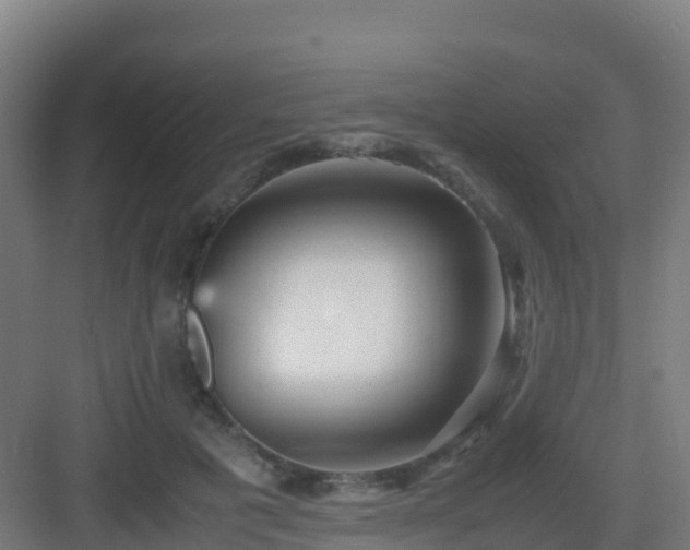 X0000083030601200702091345