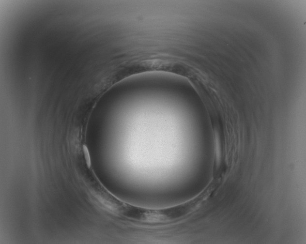 X0000083030605200702091345