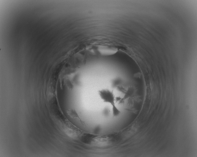 X0000083030606200702091345