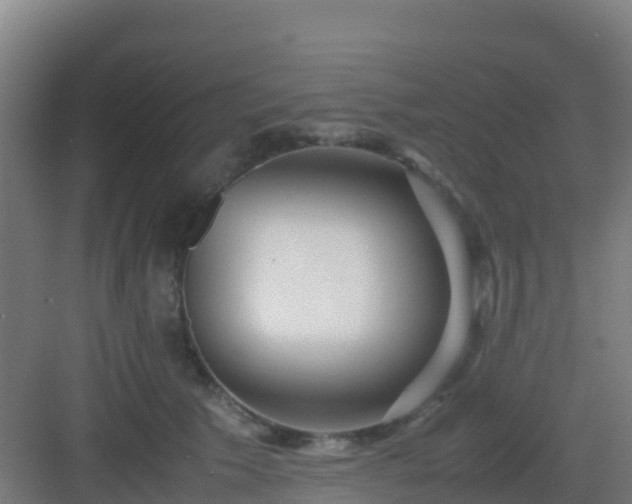 X0000083030609200702091345