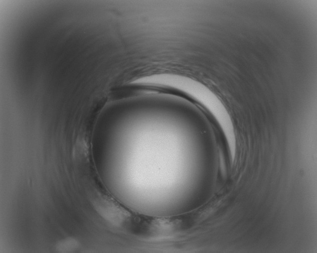X0000083030613200702091344