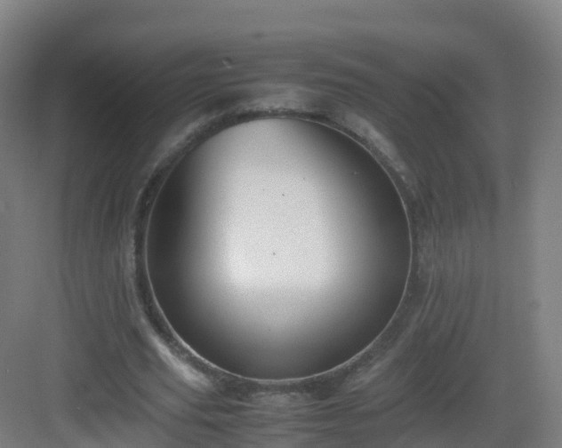 X0000083030629200702091344