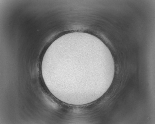 X0000083030632200702091344