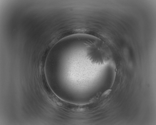 X0000083030647200702091344