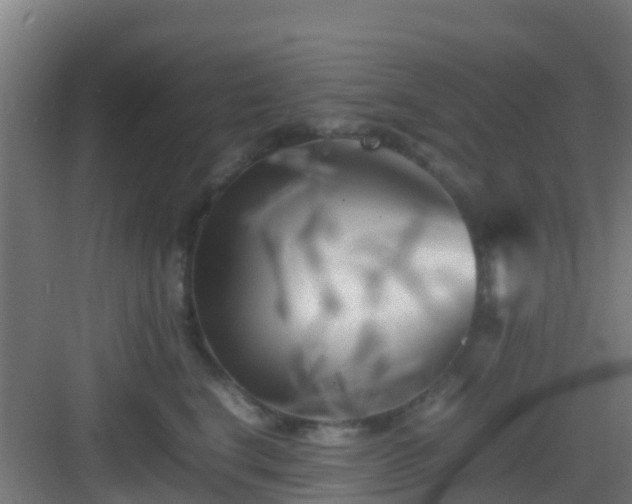 X0000083030664200702091344
