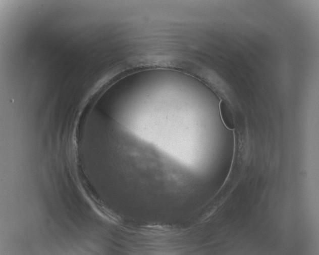 X0000083030674200702091343