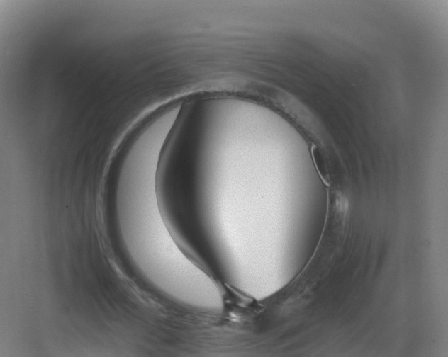 X0000083030676200702091343