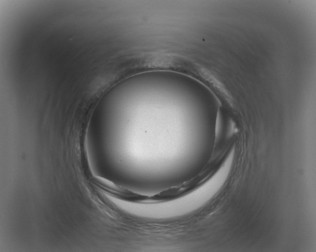 X0000083030681200702091343