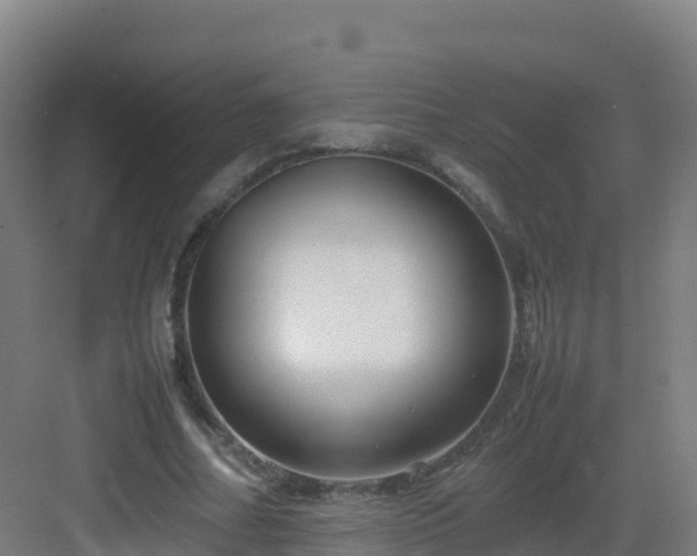 X0000083030682200702091343