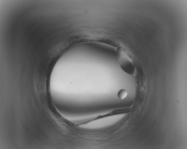 X0000083030685200702091343