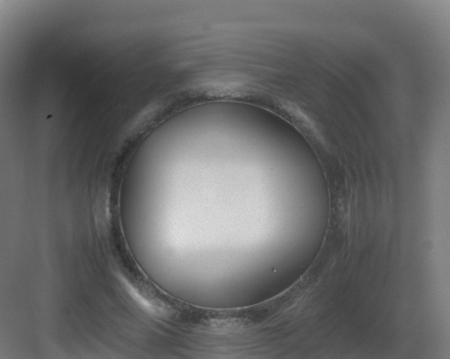 X0000083030686200702091343