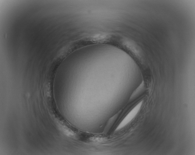X0000083030689200702091343