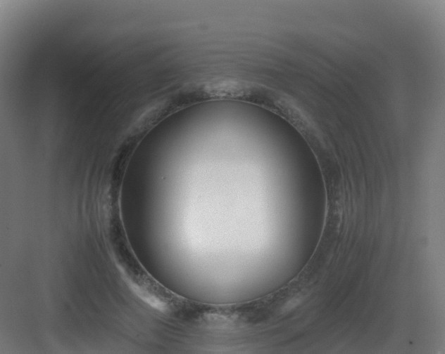 X0000083030690200702091343