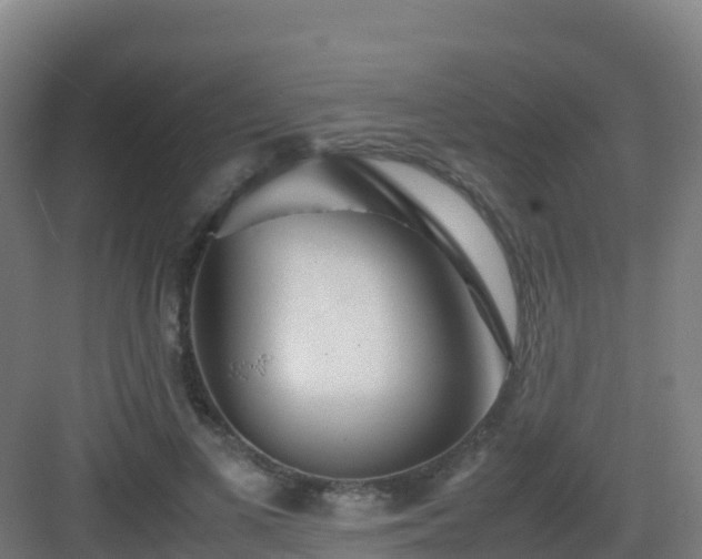 X0000083030693200702091343