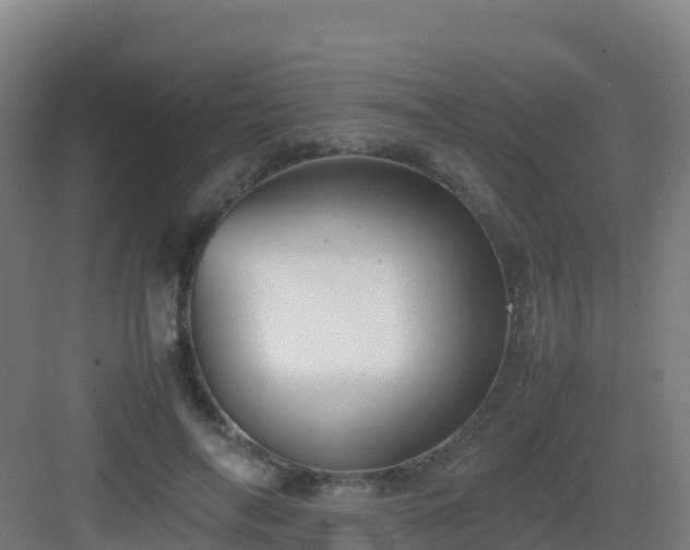 X0000083030694200702091343