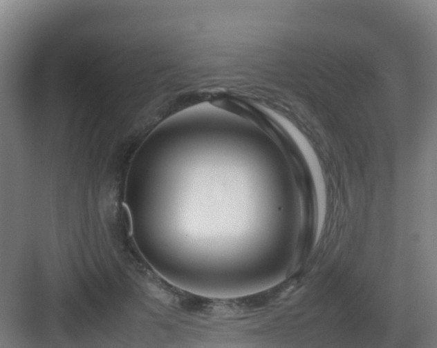 X0000083030697200702091343