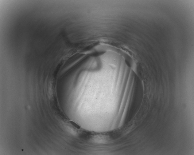 X0000083030708200702091343