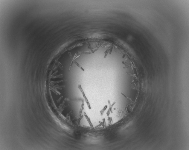 X0000083030725200702091342